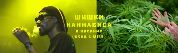 стаф Арсеньев
