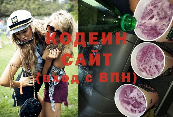 стаф Арсеньев
