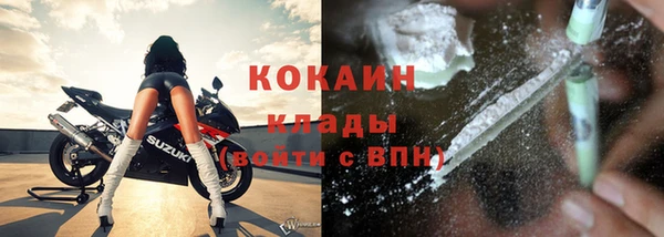 стаф Арсеньев