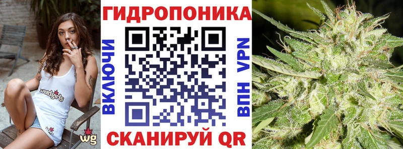 Бошки марихуана ГИДРОПОН  Пучеж 